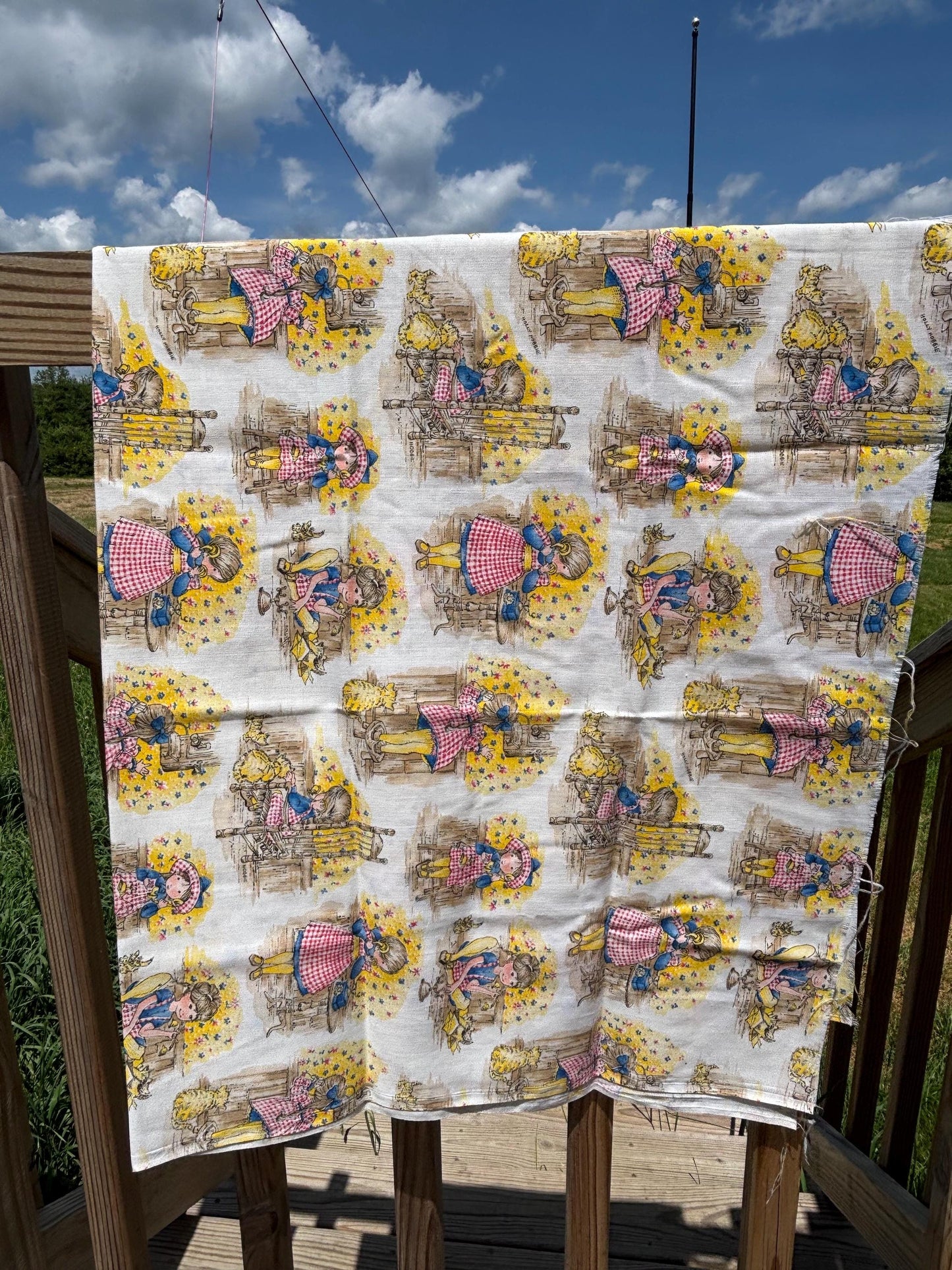 Vintage Holly Hobbie Fabric – Cottagecore Cotton Fabric